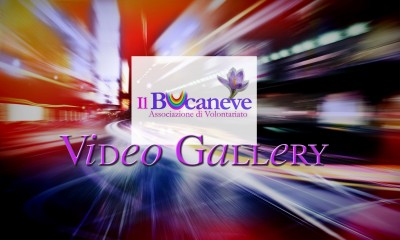 Video Gallery